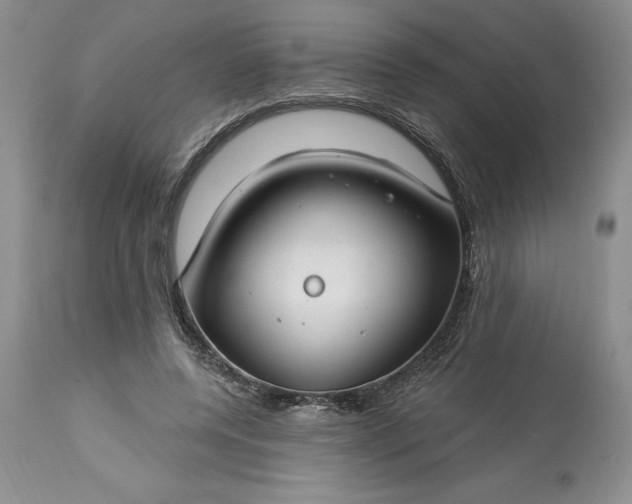 X0000113580544200910021655