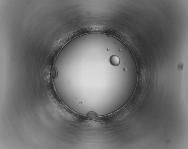 X0000113580545200910021655