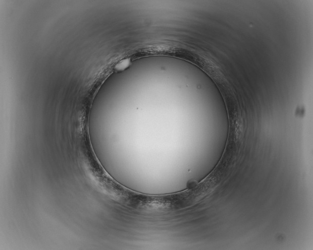 X0000113580546200910021655