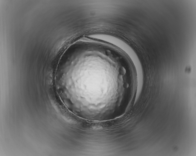 X0000113580547200910021655