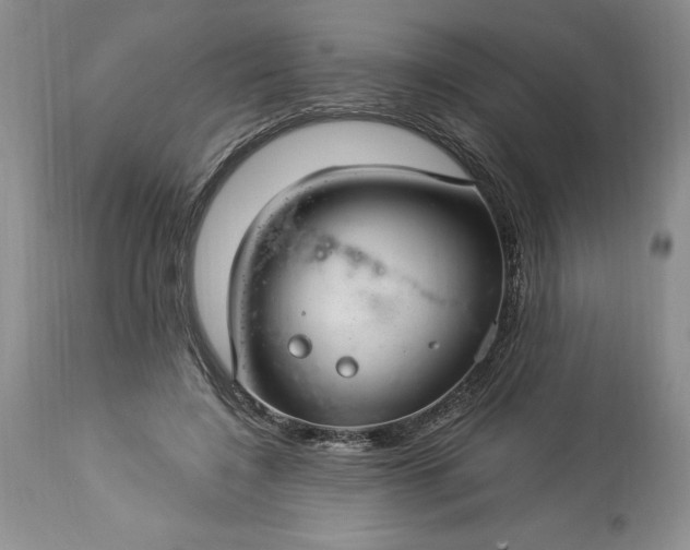 X0000113580548200910021655