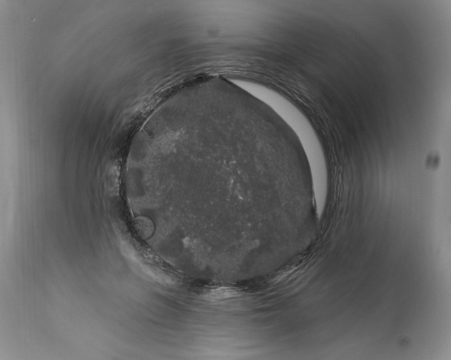 X0000113580551200910021655