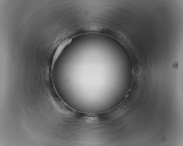 X0000113580552200910021655