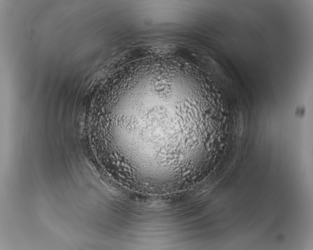 X0000113580553200910021655