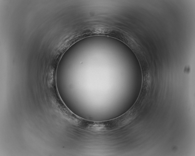 X0000113580554200910021655