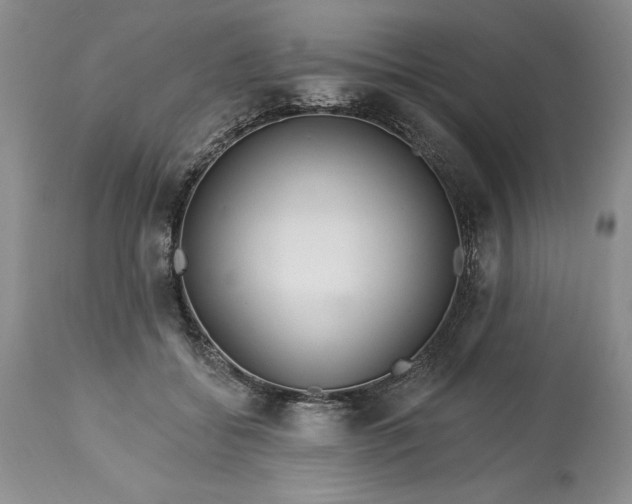 X0000113580556200910021655