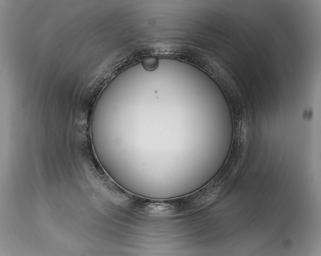 X0000113580557200910021655