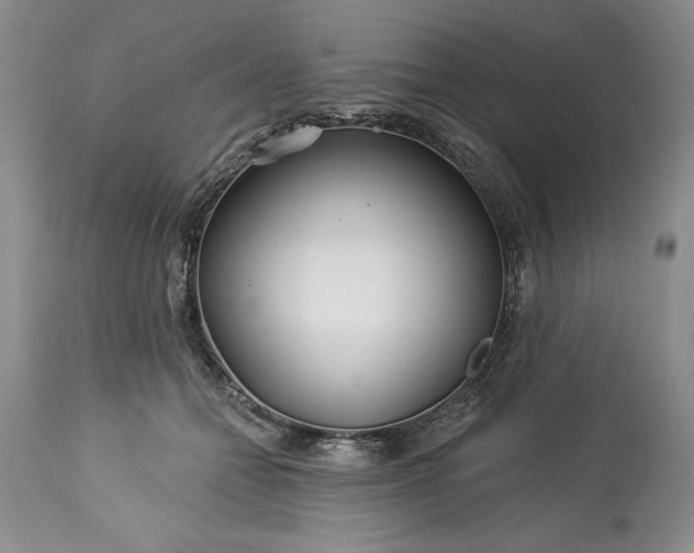 X0000113580558200910021655