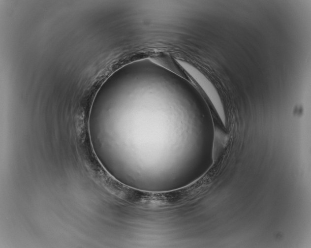 X0000113580559200910021655