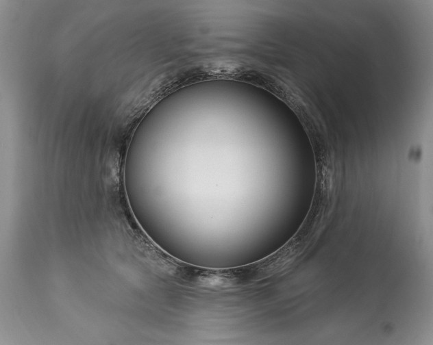 X0000113580561200910021656