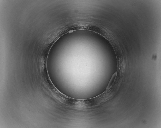 X0000113580562200910021656