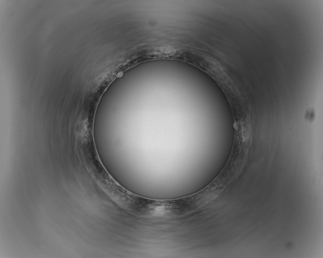 X0000113580564200910021656