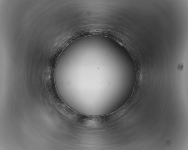 X0000113580567200910021656