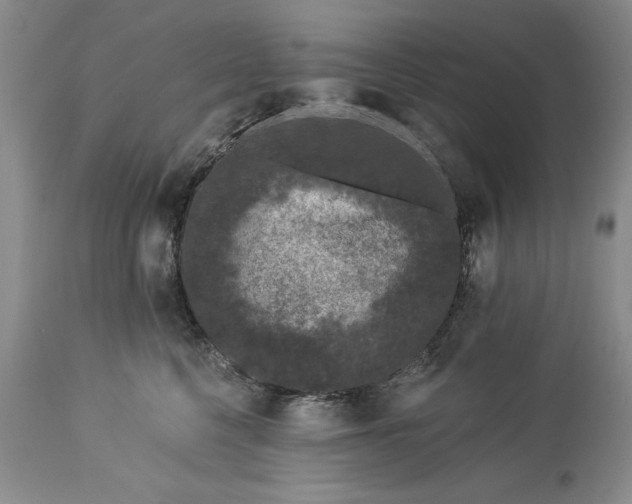 X0000113580568200910021656