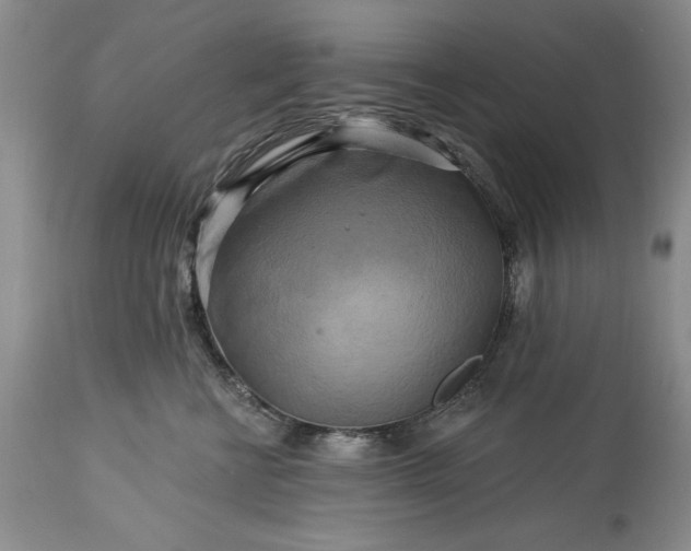 X0000113580570200910021656