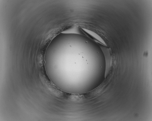 X0000113580571200910021656