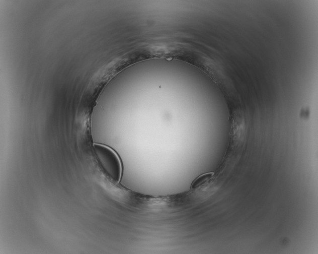 X0000113580574200910021656