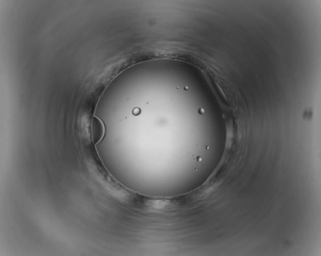 X0000113580575200910021656