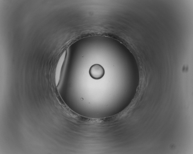 X0000113580576200910021656