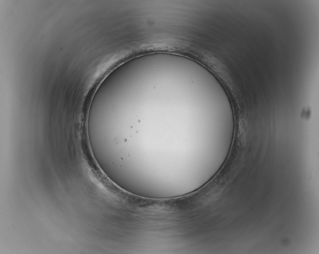 X0000113580578200910021655