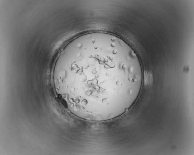 X0000113580579200910021655