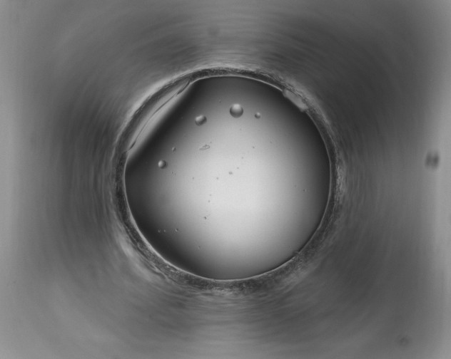 X0000113580580200910021655