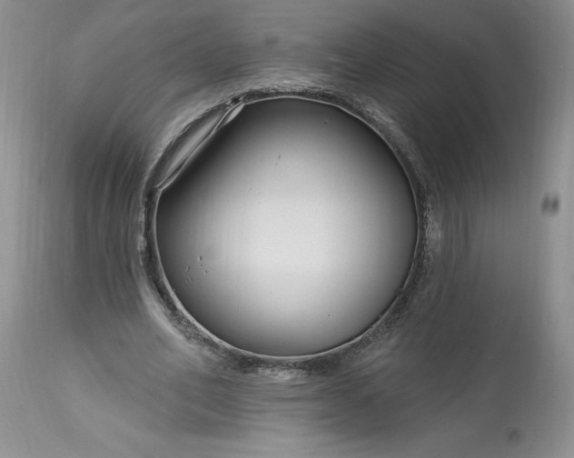 X0000113580582200910021655