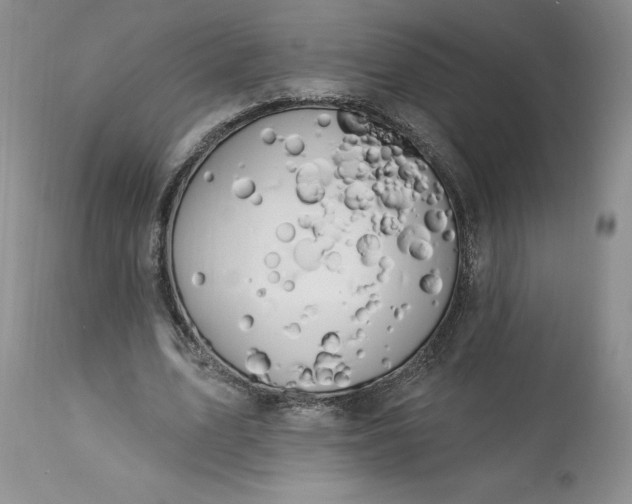 X0000113580583200910021655