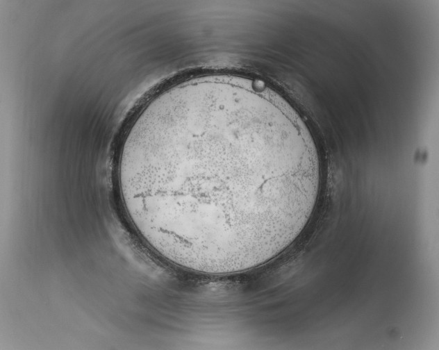 X0000113580584200910021655