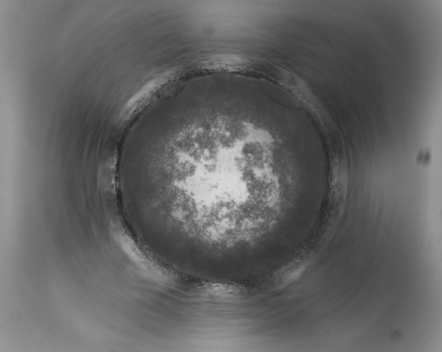 X0000113580585200910021655