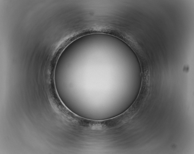 X0000113580587200910021655