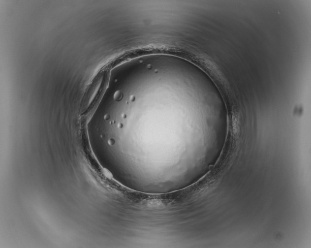 X0000113580588200910021655