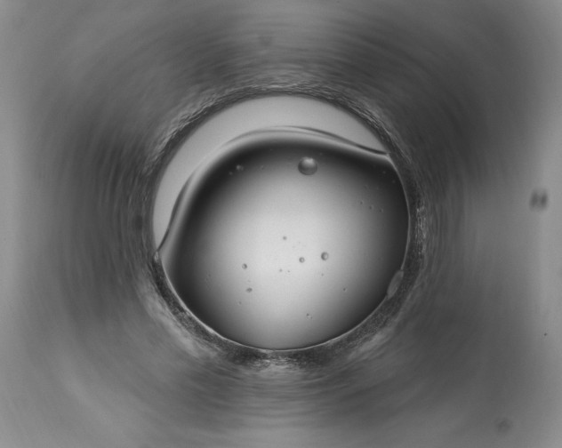 X0000113580589200910021655