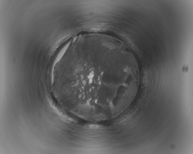 X0000113580590200910021655