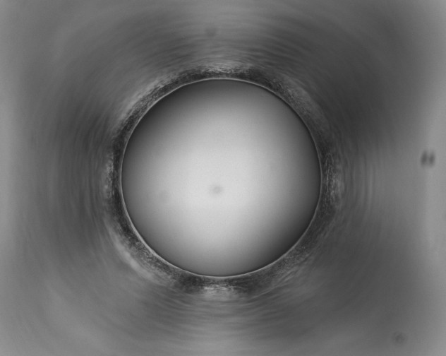 X0000113580591200910021655