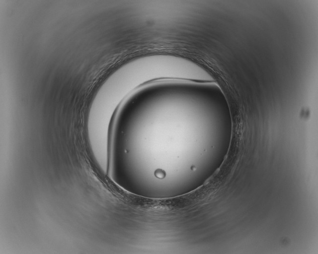 X0000113580593200910021655