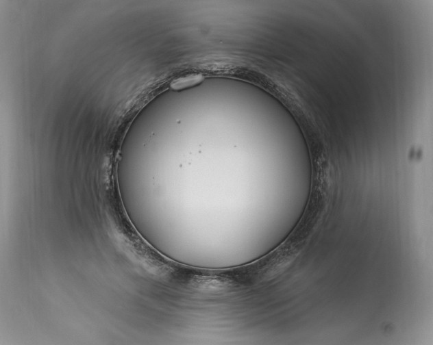 X0000113580597200910021655