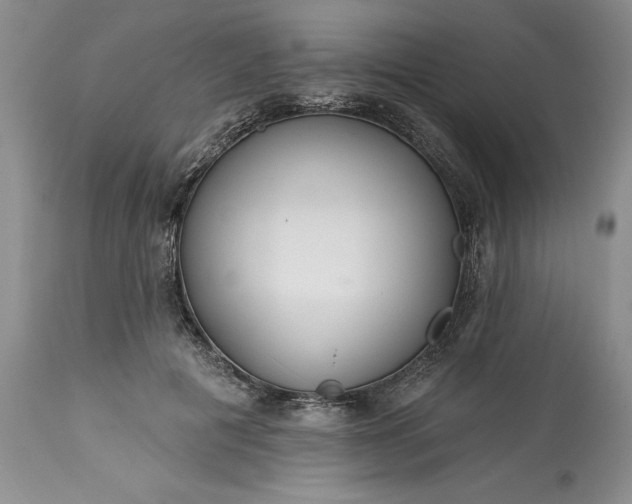 X0000113580601200910021655