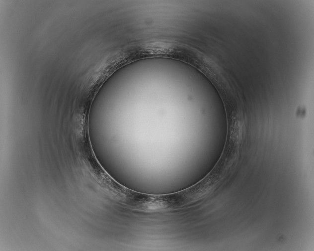 X0000113580604200910021655