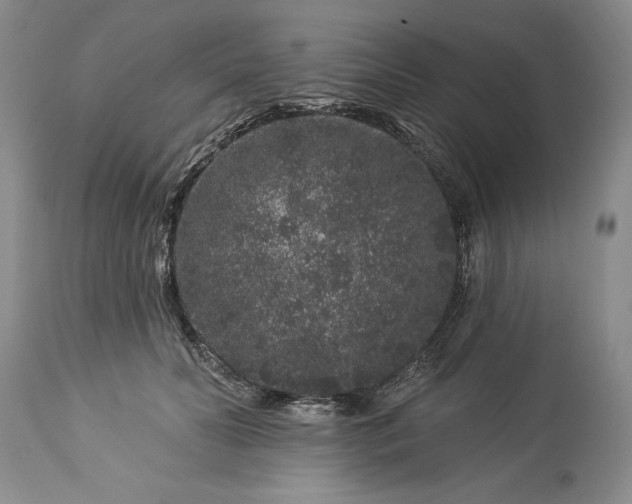 X0000113580606200910021655