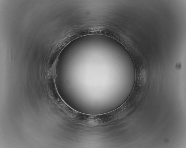 X0000113580608200910021655