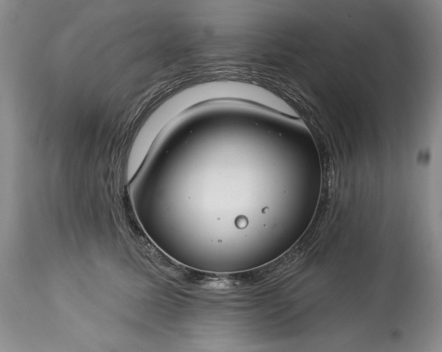 X0000113580611200910021655