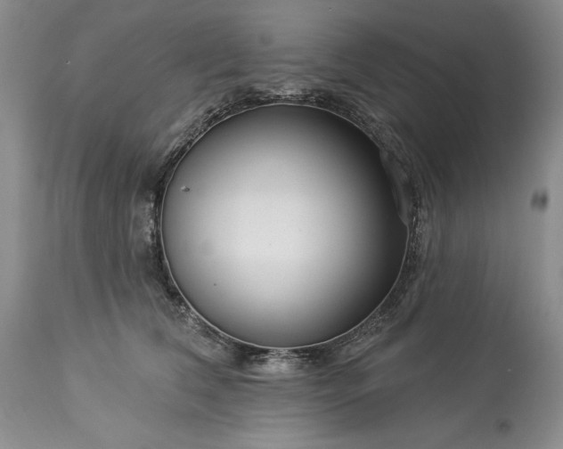 X0000113580612200910021655