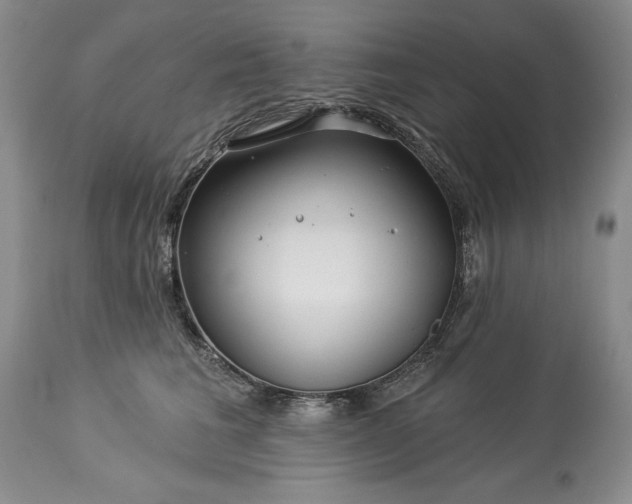 X0000113580613200910021655