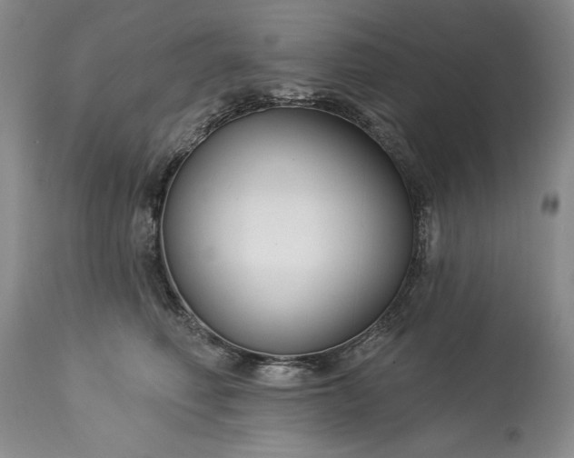 X0000113580614200910021655