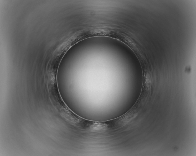 X0000113580617200910021655