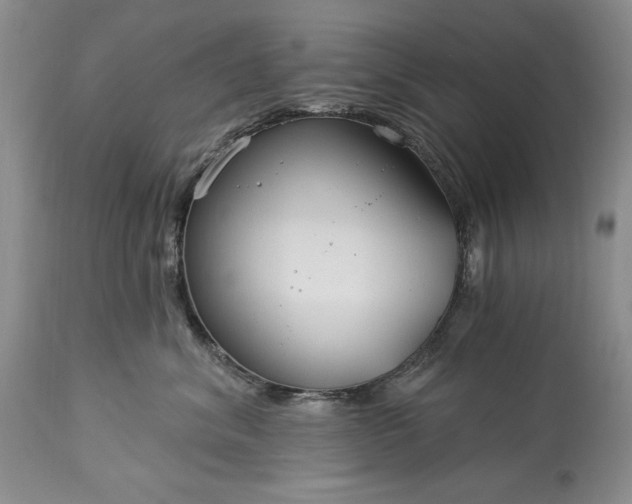 X0000113580620200910021654