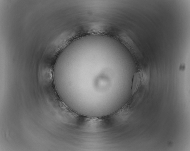 X0000113580621200910021654