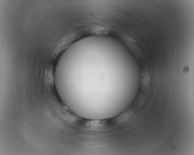 X0000113580622200910021654