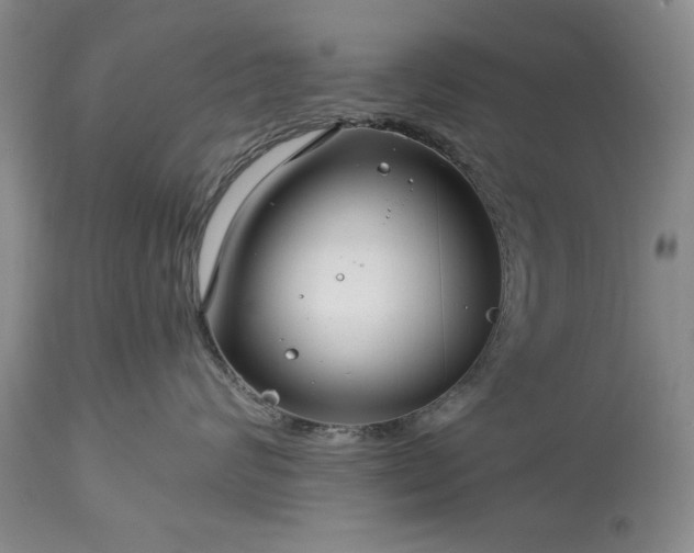 X0000113580624200910021654